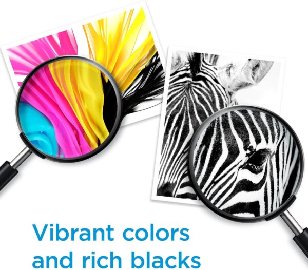 HP 67 Black/Tri-color Ink Cartridges